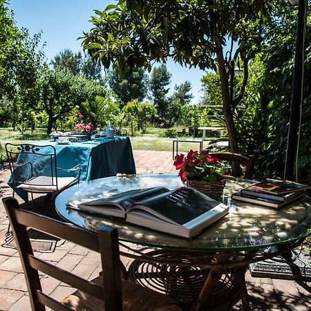 B&B Valle Allegra Gravina di Catania Exteriör bild