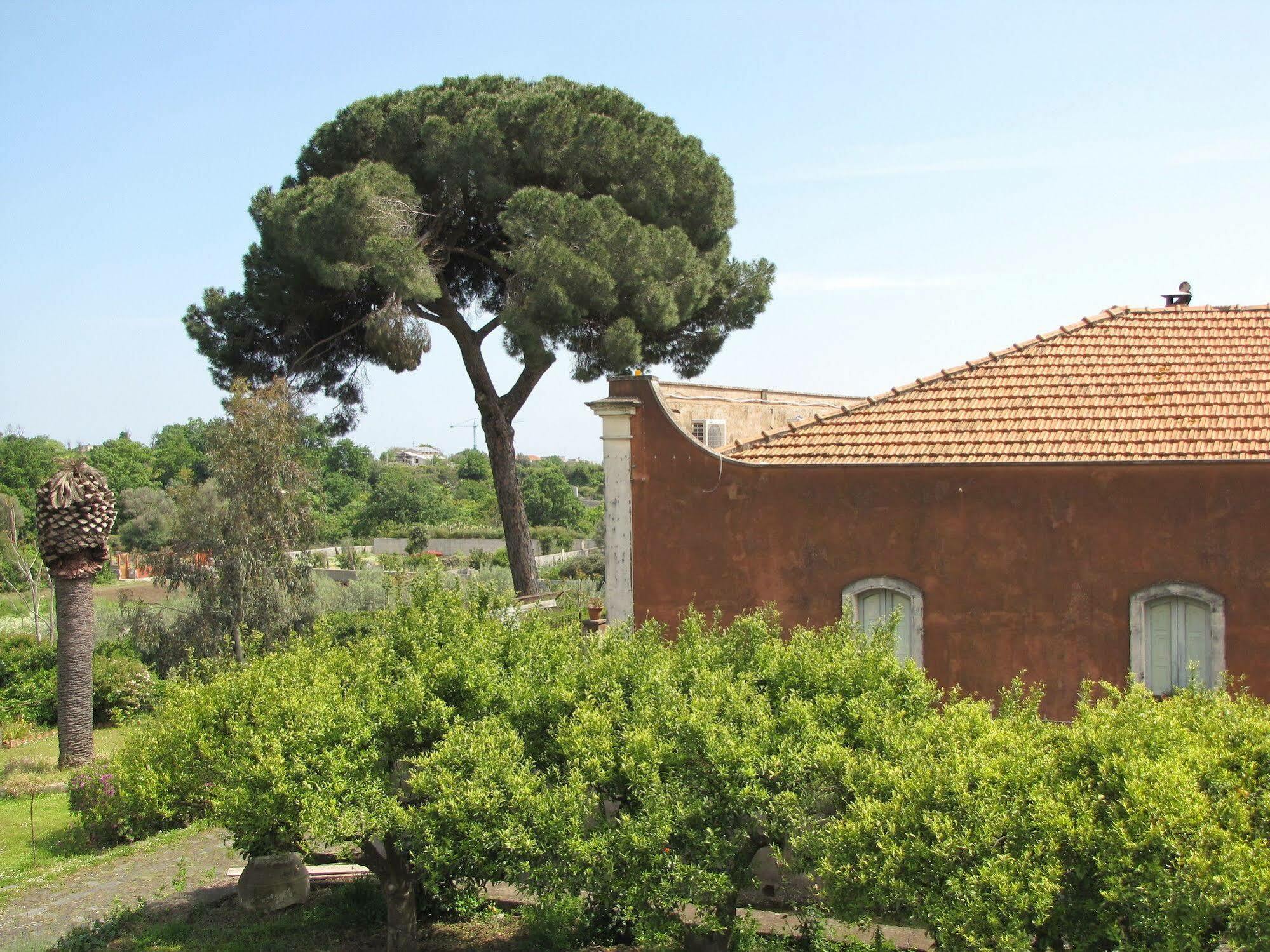 B&B Valle Allegra Gravina di Catania Exteriör bild