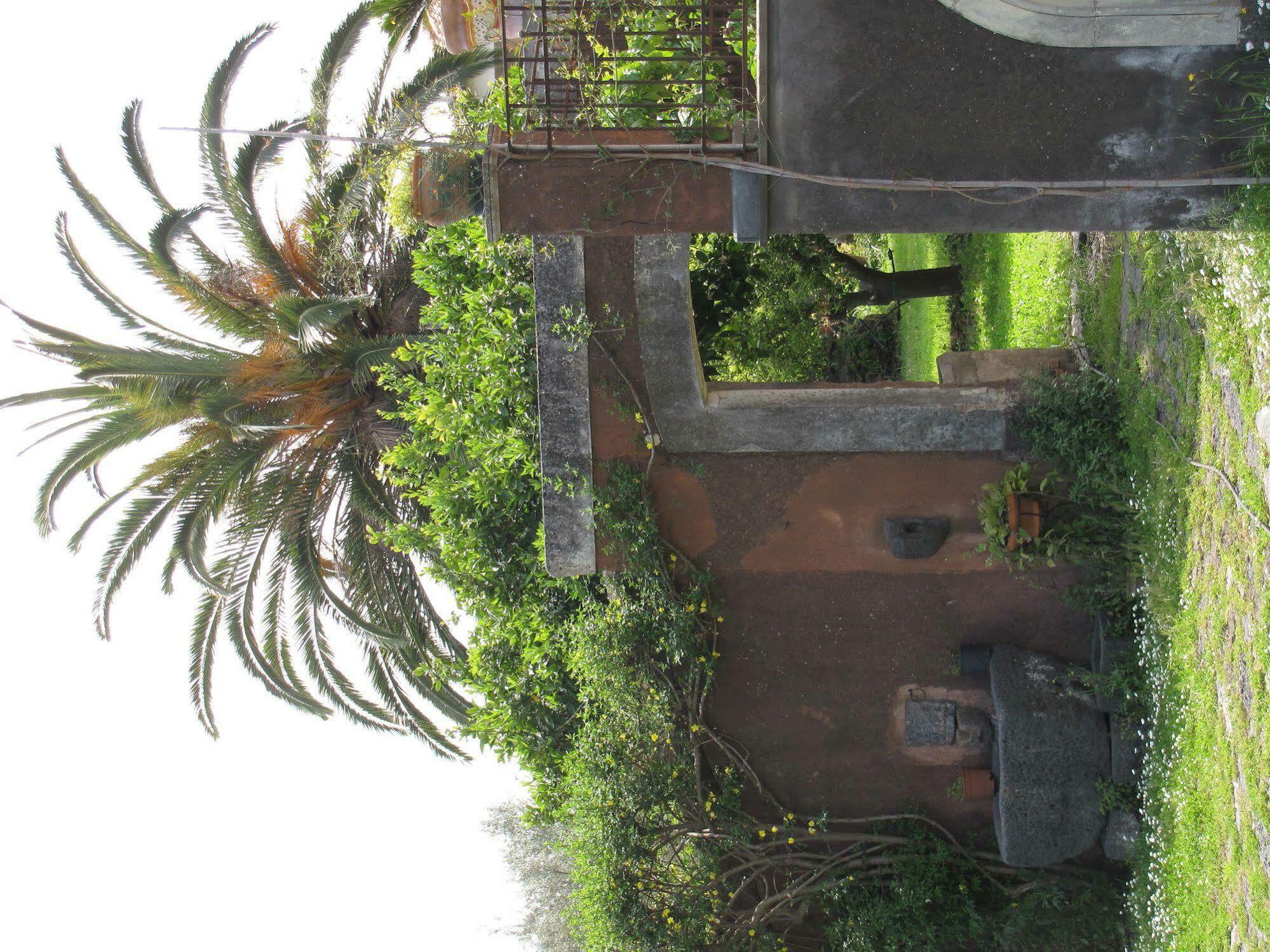B&B Valle Allegra Gravina di Catania Exteriör bild